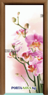 Стъклена интериорна врата, Print G 13-02, цвят каса Златен дъб
