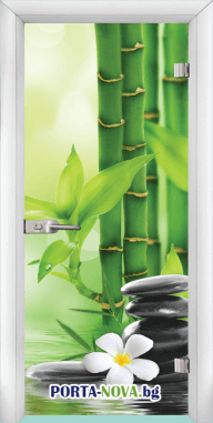 Стъклена интериорна врата, Print G 13-09, цвят каса Бяла