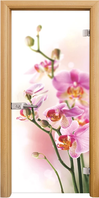 Стъклена Врата Standart Print G 13-2 Светъл Дъб