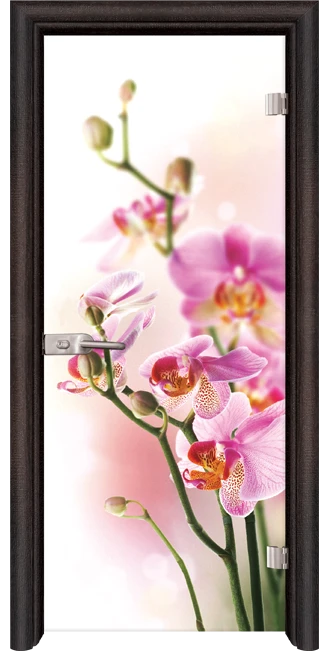 Стъклена Врата Standart Print G 13-2 Венге